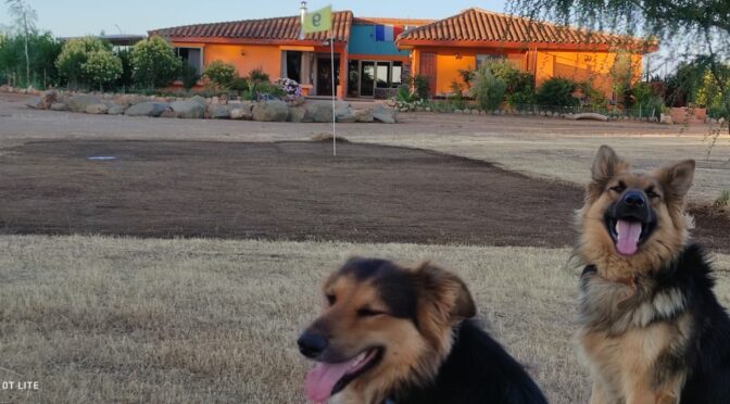 Willys Country Club acondiciona y crea nuevos espacios.